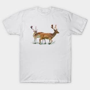 Rehe T-Shirt